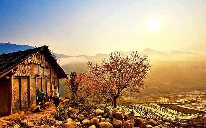 Sapa
